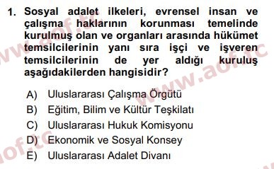 2019 İnsan Hakları ve Kamu Özgürlükleri Final 1. Çıkmış Sınav Sorusu