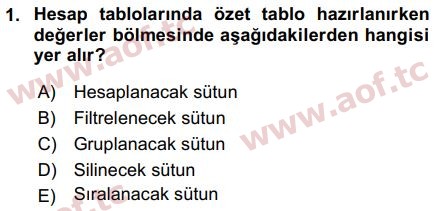 2017 Temel Bilgi Teknolojileri 1 Final 1. Çıkmış Sınav Sorusu