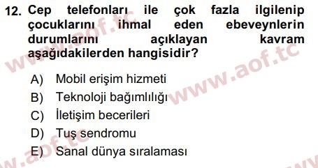 2019 Temel Bilgi Teknolojileri 1 Final 12. Çıkmış Sınav Sorusu