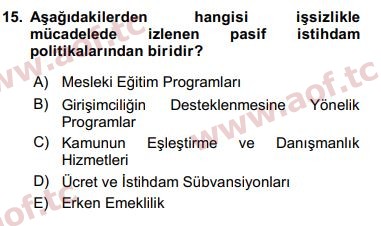 2017 Sosyal Politika Arasınav 15. Çıkmış Sınav Sorusu