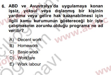 2017 Sosyal Politika Yaz Okulu 6. Çıkmış Sınav Sorusu