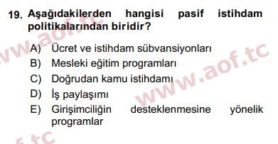 2018 Sosyal Politika Arasınav 19. Çıkmış Sınav Sorusu