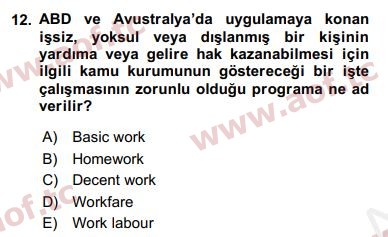 2018 Sosyal Politika Yaz Okulu 12. Çıkmış Sınav Sorusu