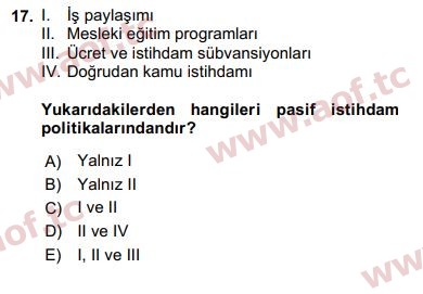 2020 Sosyal Politika Arasınav 17. Çıkmış Sınav Sorusu