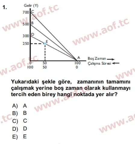 2016 Çalışma Ekonomisi Arasınav 1. Çıkmış Sınav Sorusu