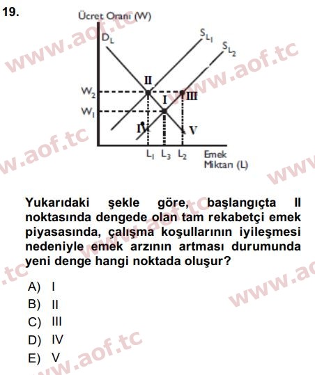 2016 Çalışma Ekonomisi Arasınav 19. Çıkmış Sınav Sorusu