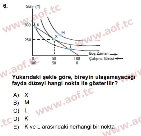 2016 Çalışma Ekonomisi Arasınav 6. Çıkmış Sınav Sorusu