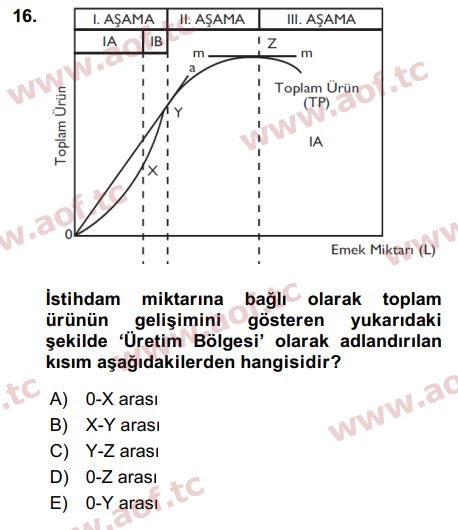 2018 Çalışma Ekonomisi Arasınav 16. Çıkmış Sınav Sorusu