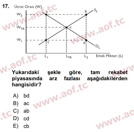 2018 Çalışma Ekonomisi Arasınav 17. Çıkmış Sınav Sorusu