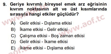 2018 Çalışma Ekonomisi Arasınav 9. Çıkmış Sınav Sorusu