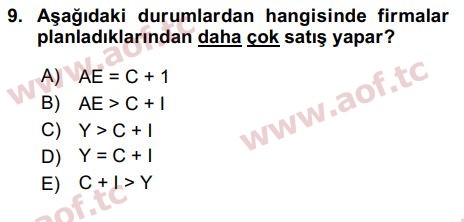 2021 İktisada Giriş 2 Yaz Okulu 9. Çıkmış Sınav Sorusu