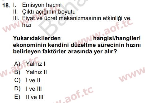 2024 İktisada Giriş 2 Final 18. Çıkmış Sınav Sorusu