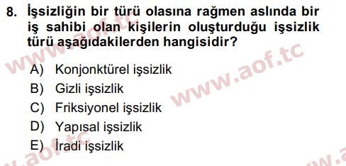 2024 İktisada Giriş 2 Final 8. Çıkmış Sınav Sorusu