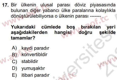2024 İktisada Giriş 2 Yaz Okulu 17. Çıkmış Sınav Sorusu