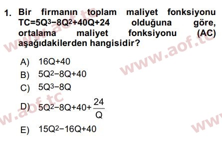 2017 Matematiksel İktisat Arasınav 1. Çıkmış Sınav Sorusu