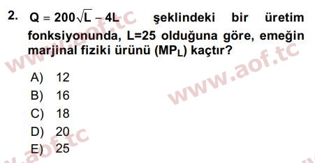 2017 Matematiksel İktisat Arasınav 2. Çıkmış Sınav Sorusu