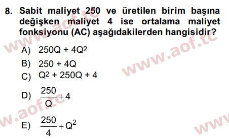 2017 Matematiksel İktisat Arasınav 8. Çıkmış Sınav Sorusu