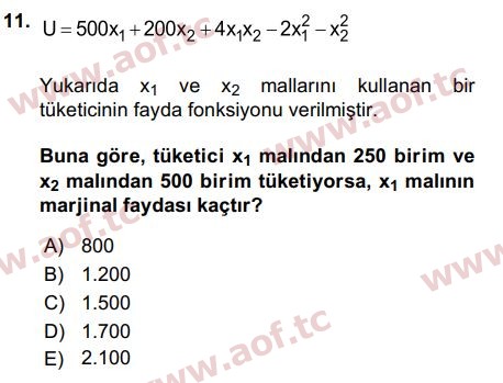 2017 Matematiksel İktisat Final 11. Çıkmış Sınav Sorusu