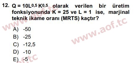 2017 Matematiksel İktisat Final 12. Çıkmış Sınav Sorusu