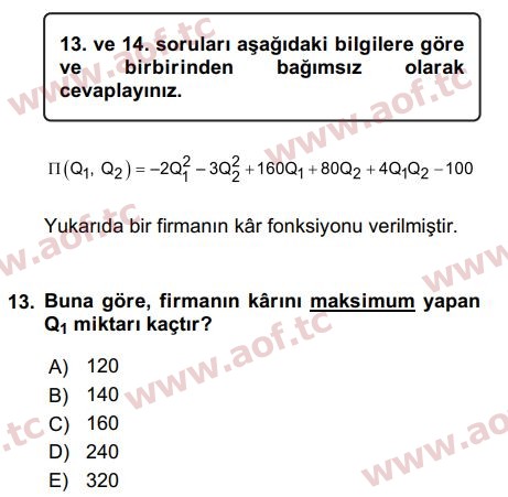 2017 Matematiksel İktisat Final 13. Çıkmış Sınav Sorusu