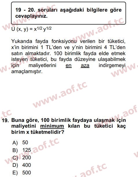 2017 Matematiksel İktisat Final 19. Çıkmış Sınav Sorusu