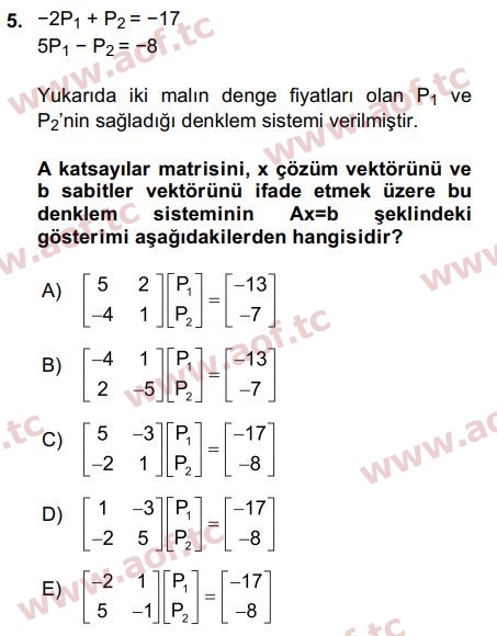 2017 Matematiksel İktisat Final 5. Çıkmış Sınav Sorusu