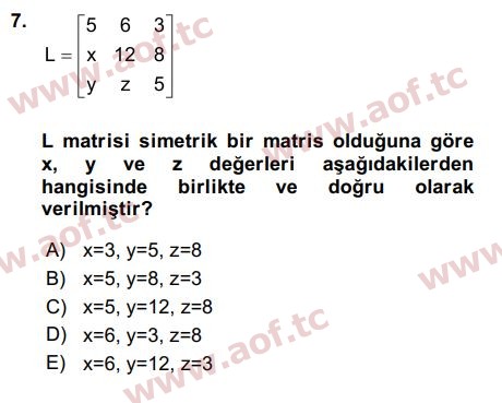 2017 Matematiksel İktisat Final 7. Çıkmış Sınav Sorusu