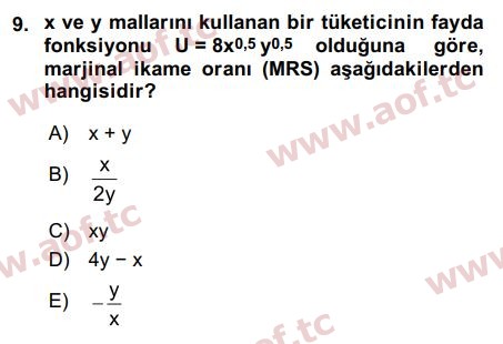 2017 Matematiksel İktisat Final 9. Çıkmış Sınav Sorusu