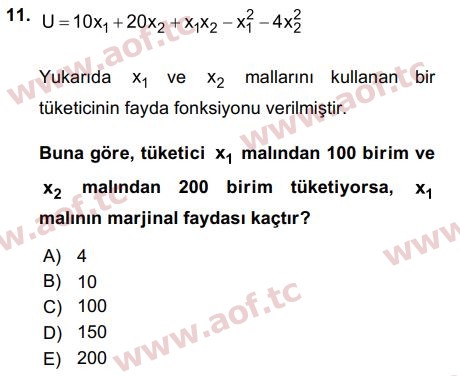 2019 Matematiksel İktisat Final 11. Çıkmış Sınav Sorusu