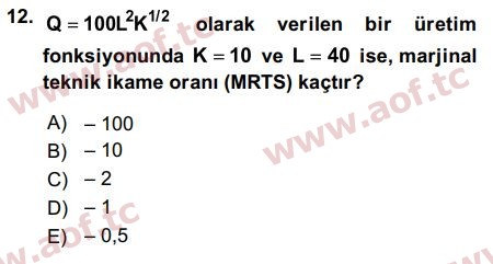 2019 Matematiksel İktisat Final 12. Çıkmış Sınav Sorusu