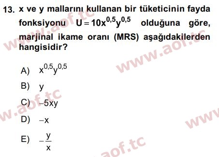 2019 Matematiksel İktisat Final 13. Çıkmış Sınav Sorusu