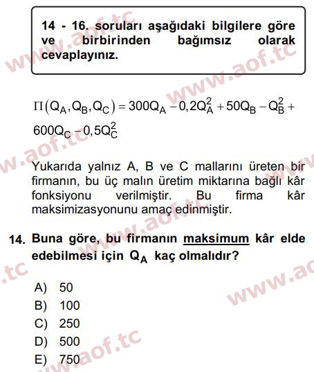 2019 Matematiksel İktisat Final 14. Çıkmış Sınav Sorusu