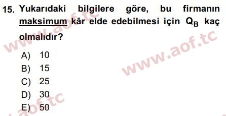 2019 Matematiksel İktisat Final 15. Çıkmış Sınav Sorusu