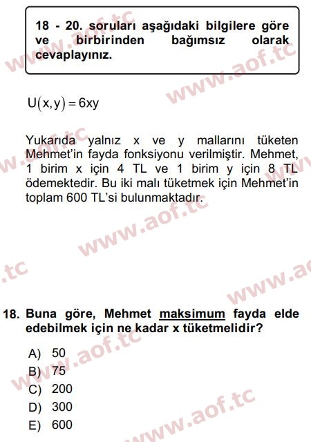 2019 Matematiksel İktisat Final 18. Çıkmış Sınav Sorusu