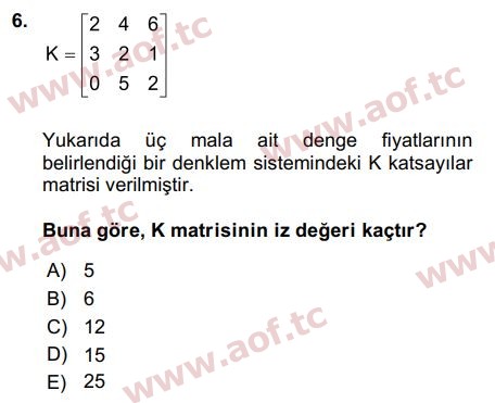 2019 Matematiksel İktisat Final 6. Çıkmış Sınav Sorusu