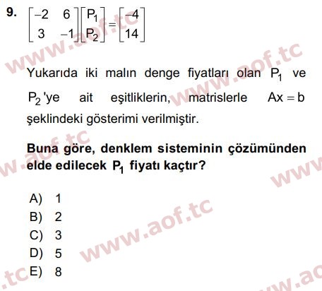 2019 Matematiksel İktisat Final 9. Çıkmış Sınav Sorusu