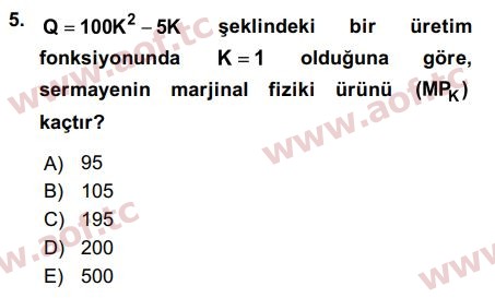 2020 Matematiksel İktisat Arasınav 5. Çıkmış Sınav Sorusu