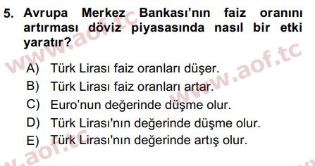 2016 Para Teorisi Final 5. Çıkmış Sınav Sorusu