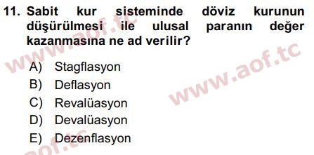 2019 Uluslararası İktisat Politikası Final 11. Çıkmış Sınav Sorusu