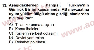 2015 Avrupa Birliği ve Türkiye İlişkileri Arasınav 13. Çıkmış Sınav Sorusu