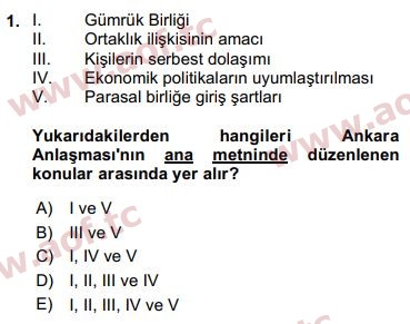 2016 Avrupa Birliği ve Türkiye İlişkileri Arasınav 1. Çıkmış Sınav Sorusu