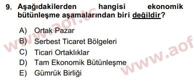 2018 Avrupa Birliği ve Türkiye İlişkileri Arasınav 9. Çıkmış Sınav Sorusu