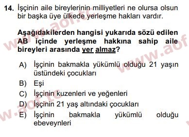 2018 Avrupa Birliği ve Türkiye İlişkileri Final 14. Çıkmış Sınav Sorusu