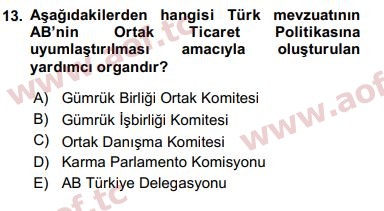 2019 Avrupa Birliği ve Türkiye İlişkileri Arasınav 13. Çıkmış Sınav Sorusu