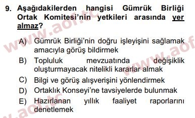 2019 Avrupa Birliği ve Türkiye İlişkileri Arasınav 9. Çıkmış Sınav Sorusu