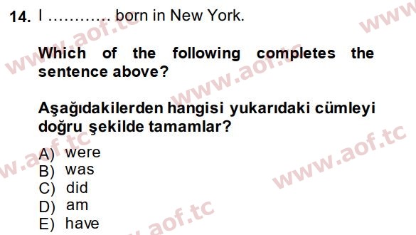 2015 İngilizce 2 Yaz Okulu 14. Çıkmış Sınav Sorusu