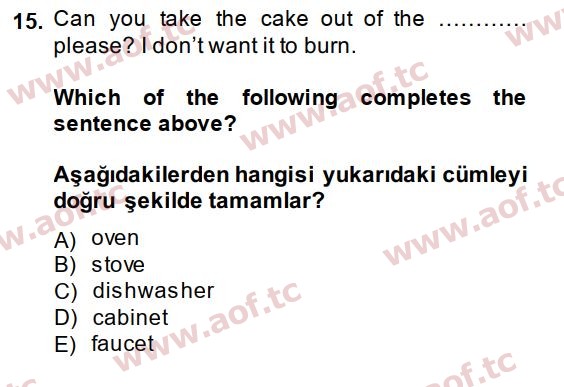 2015 İngilizce 2 Yaz Okulu 15. Çıkmış Sınav Sorusu