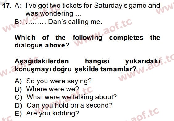 2015 İngilizce 2 Yaz Okulu 17. Çıkmış Sınav Sorusu