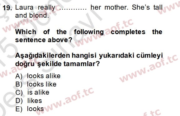 2015 İngilizce 2 Yaz Okulu 19. Çıkmış Sınav Sorusu
