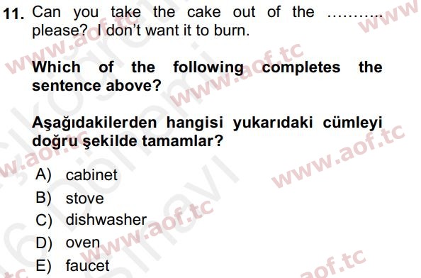 2016 İngilizce 2 Yaz Okulu 11. Çıkmış Sınav Sorusu